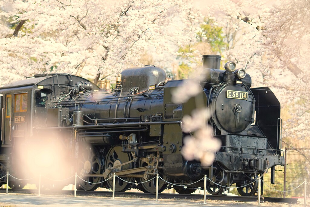 Dream Train ❀*