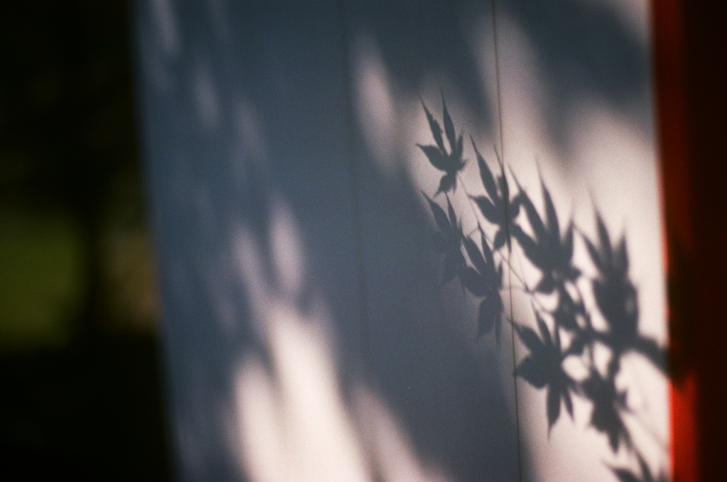 film・Autumn Dreams*