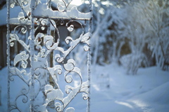 如月Snow୭*