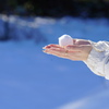 雪うさぎ*