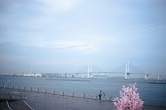 film・A small love story*