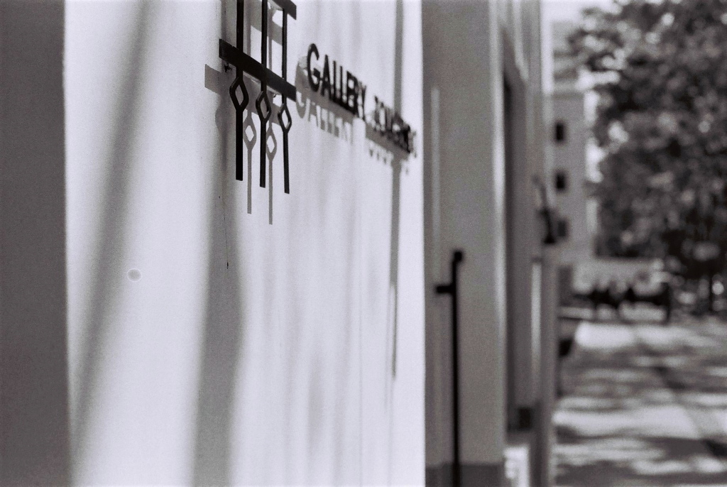 film・♢♢♢*