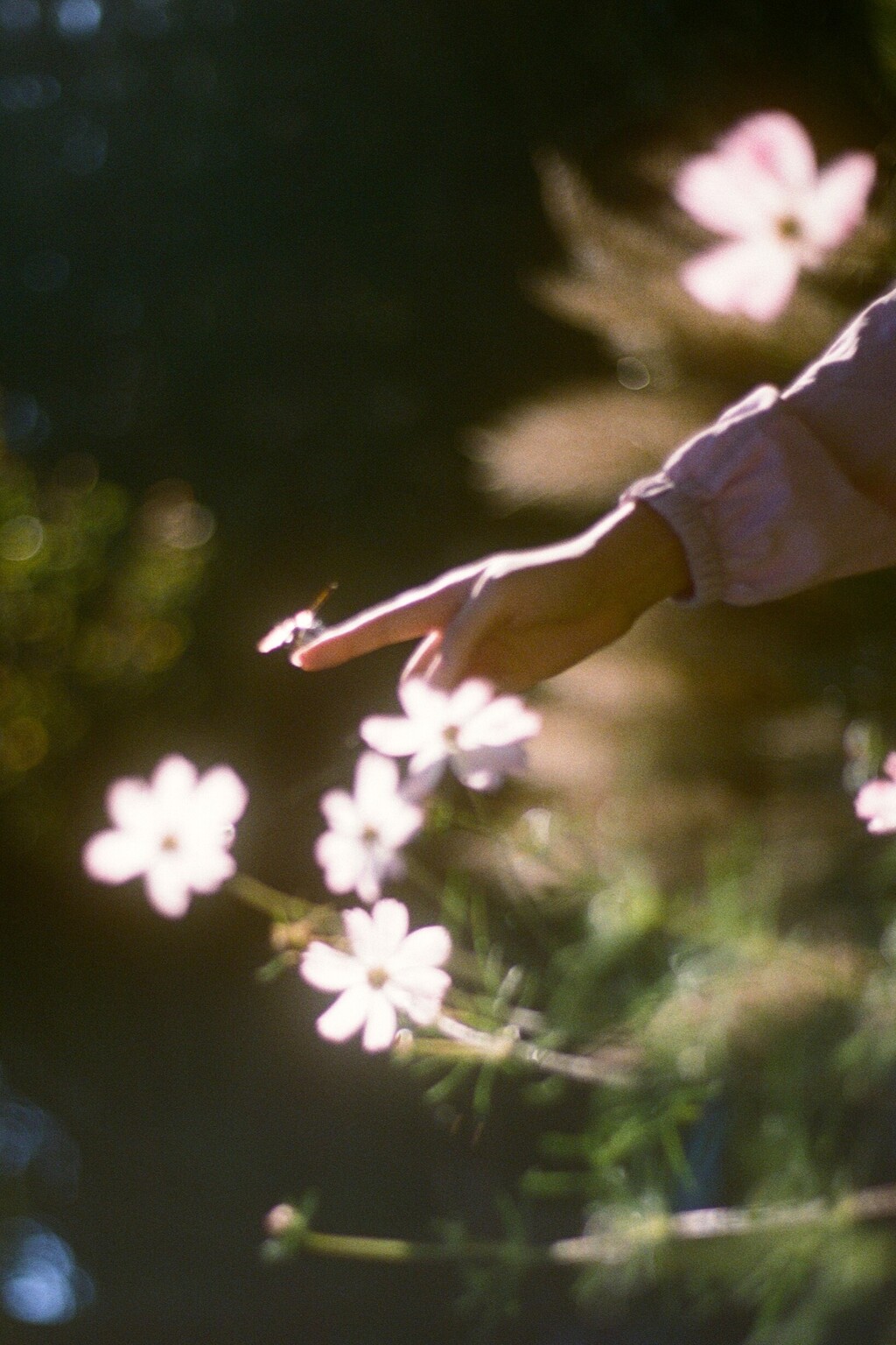 film・そーっと*