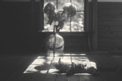 film・Monochromeのヒカリは*