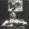 film・Monochromeのヒカリは*