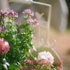 film・Waiting for spring*