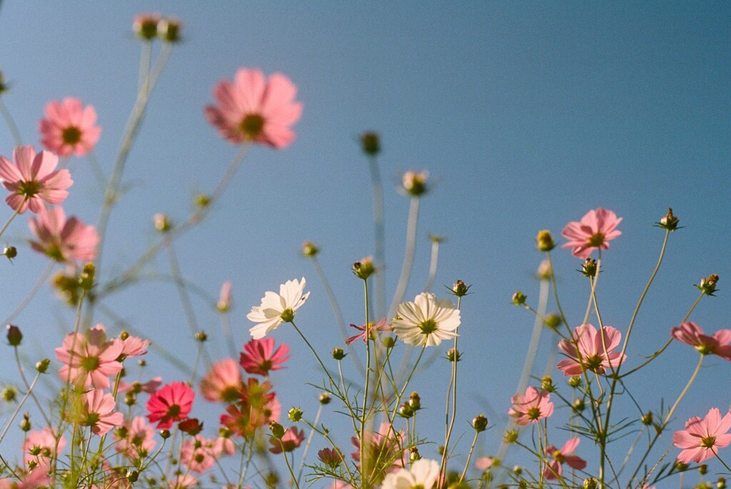 film・Mellow autumn weather*