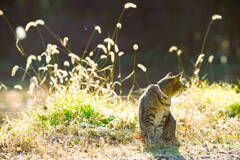 見つめ合ってる*