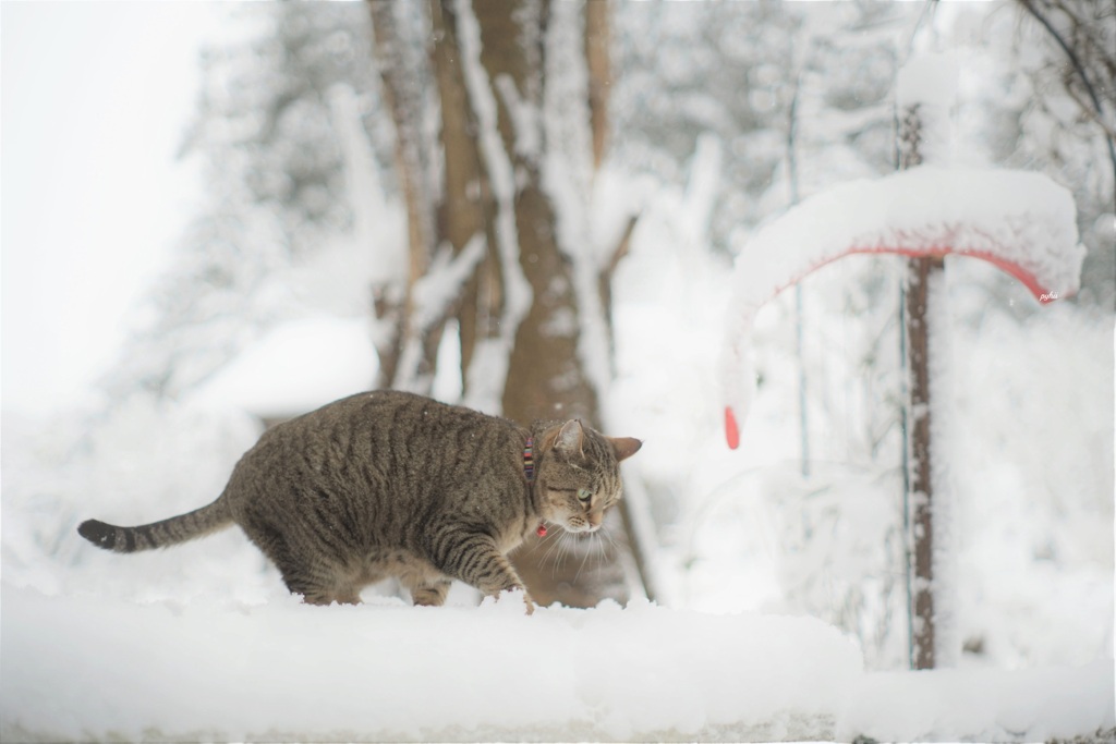 Winter*