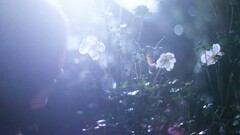 film・秋は短し*