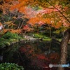 紅葉
