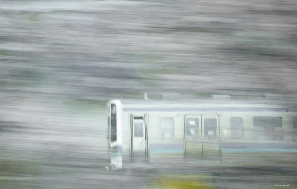 サクラの疾走