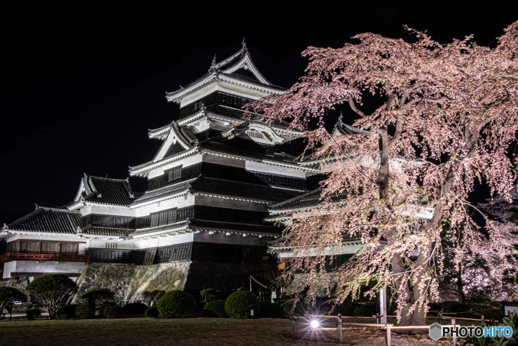 国宝松本城　夜桜会より