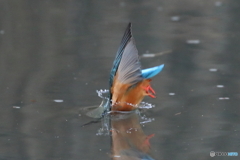 0D4A0756_５連写その５