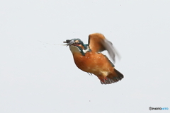 ハイキーなバックに飛ぶ（２）