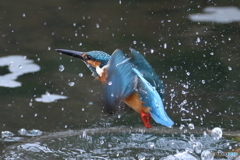 ちょいスローで（１）