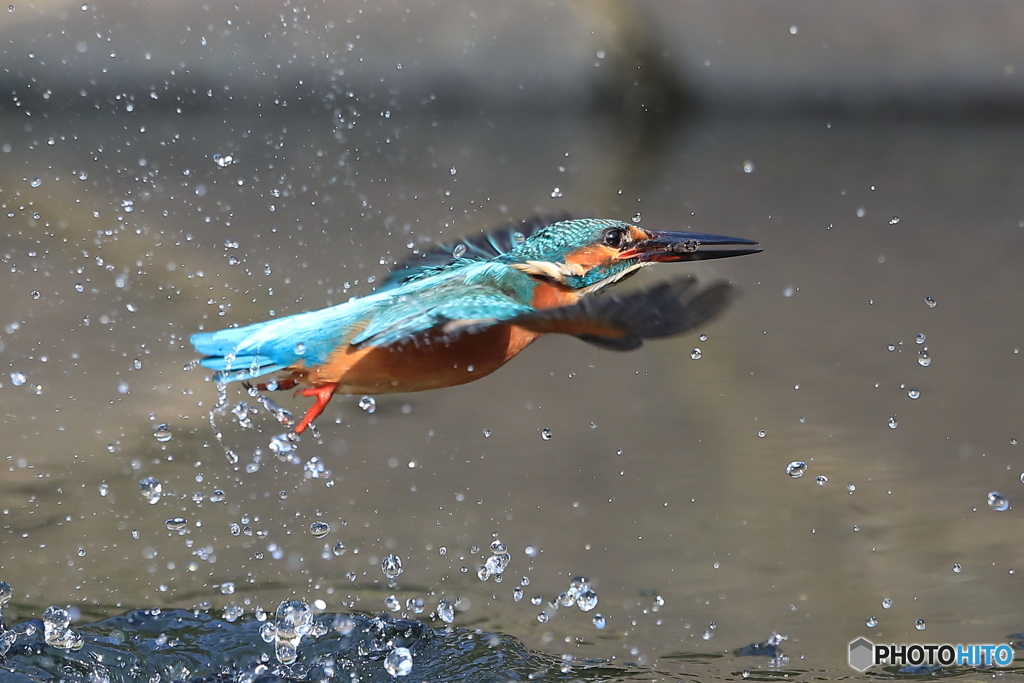 高度１０ｃｍの水平飛行