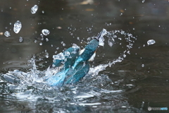 豪快な水飛沫