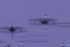 水滴のダンス・・・