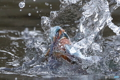 水のカーテンに包まれて・・・