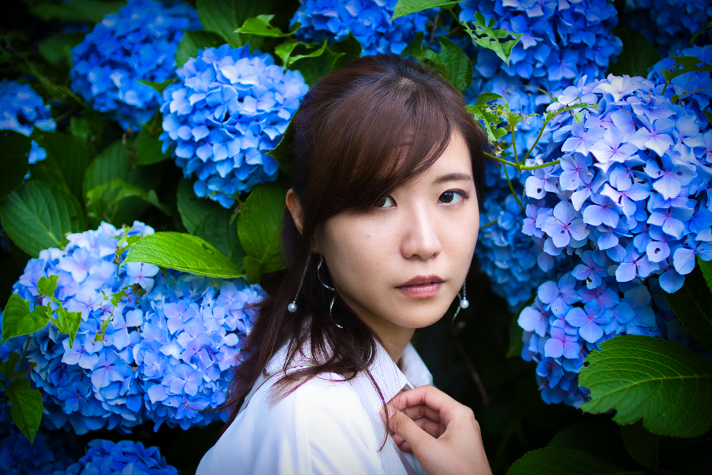 紫陽花の八重咲くごとく