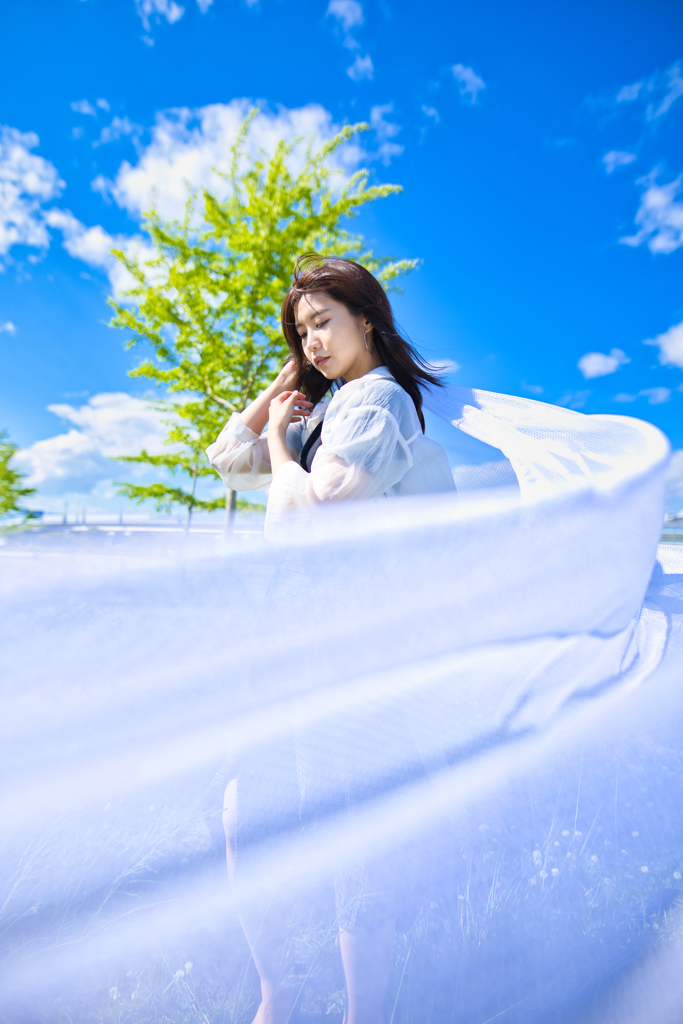 蒼の流動