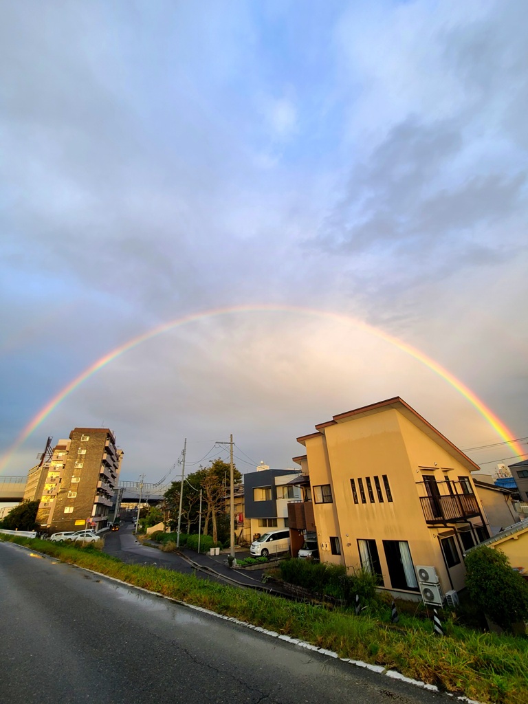 大きな虹