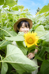 花摘み