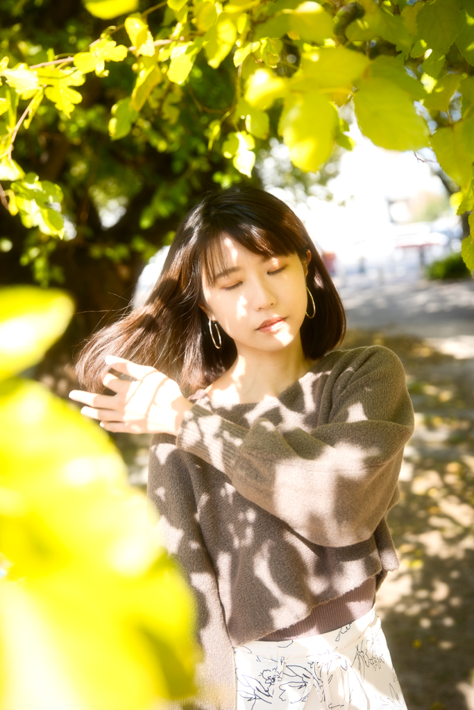 木漏れ日