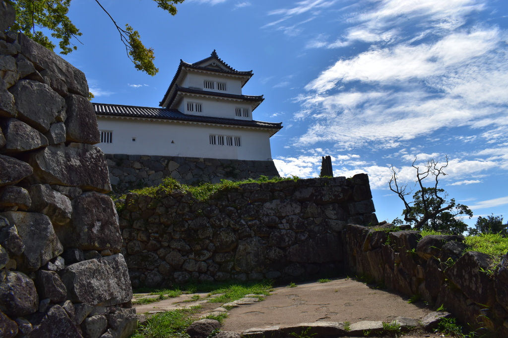 2019.9 彦根城