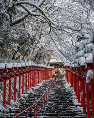 雪の貴船神社⛩