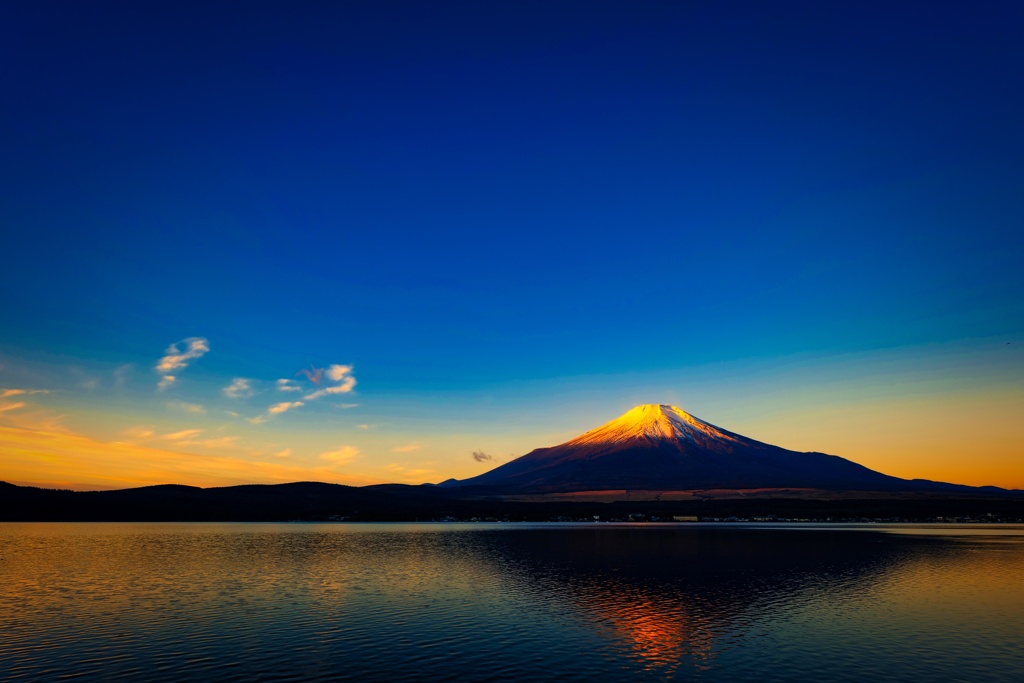 陽を浴びて