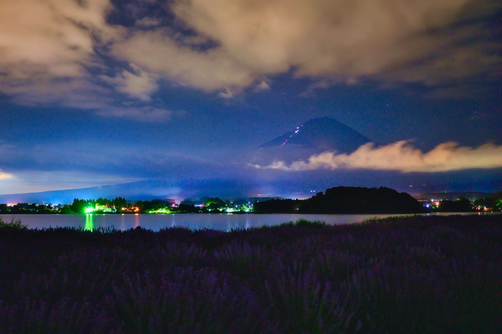 ラベンダー畑と富士山