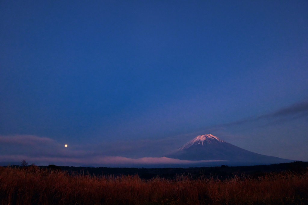 月と富士