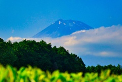 Mt Fuji