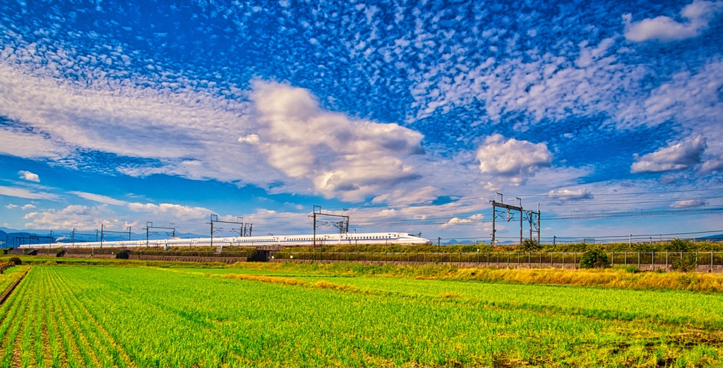 秋空