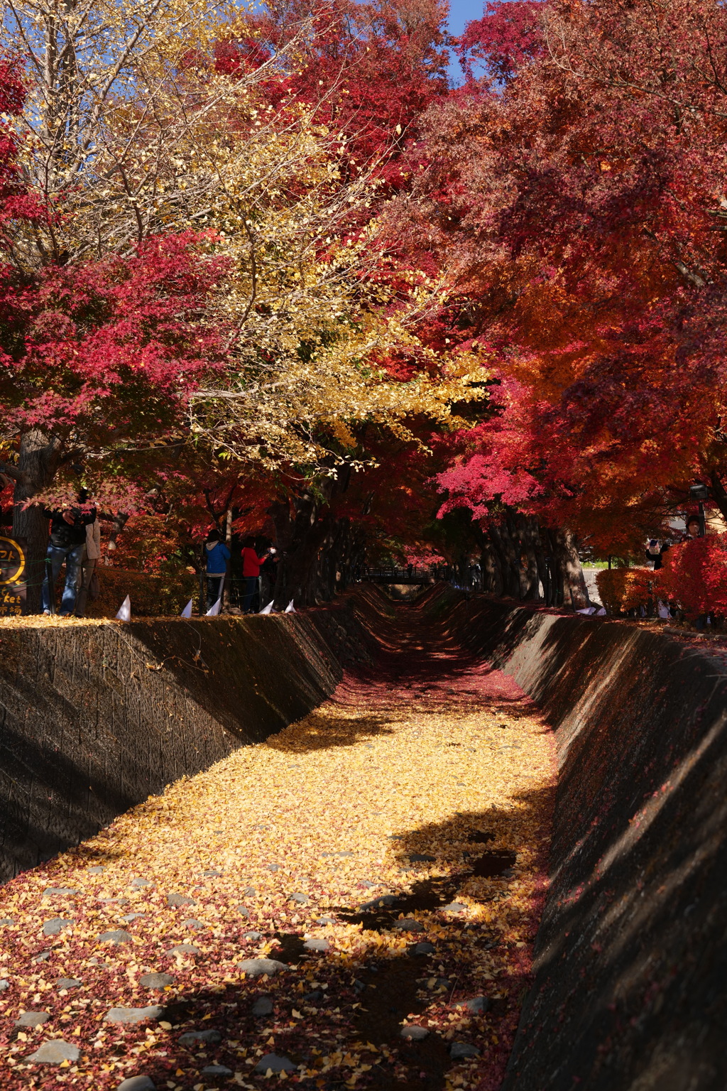 紅葉回廊