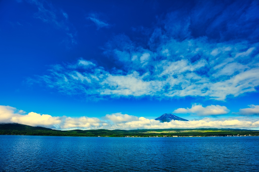 山中湖の夏富士