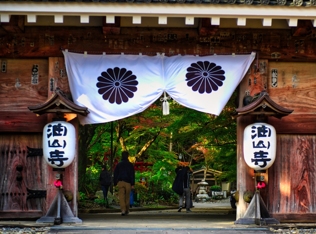 遠州油山寺