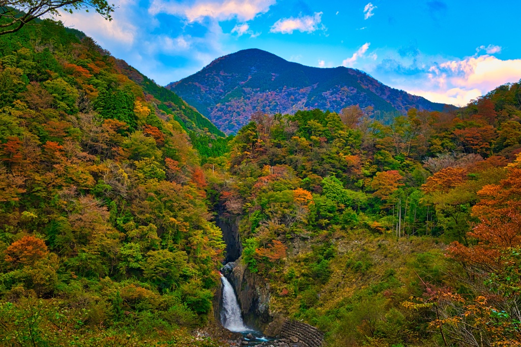 奥静の紅葉