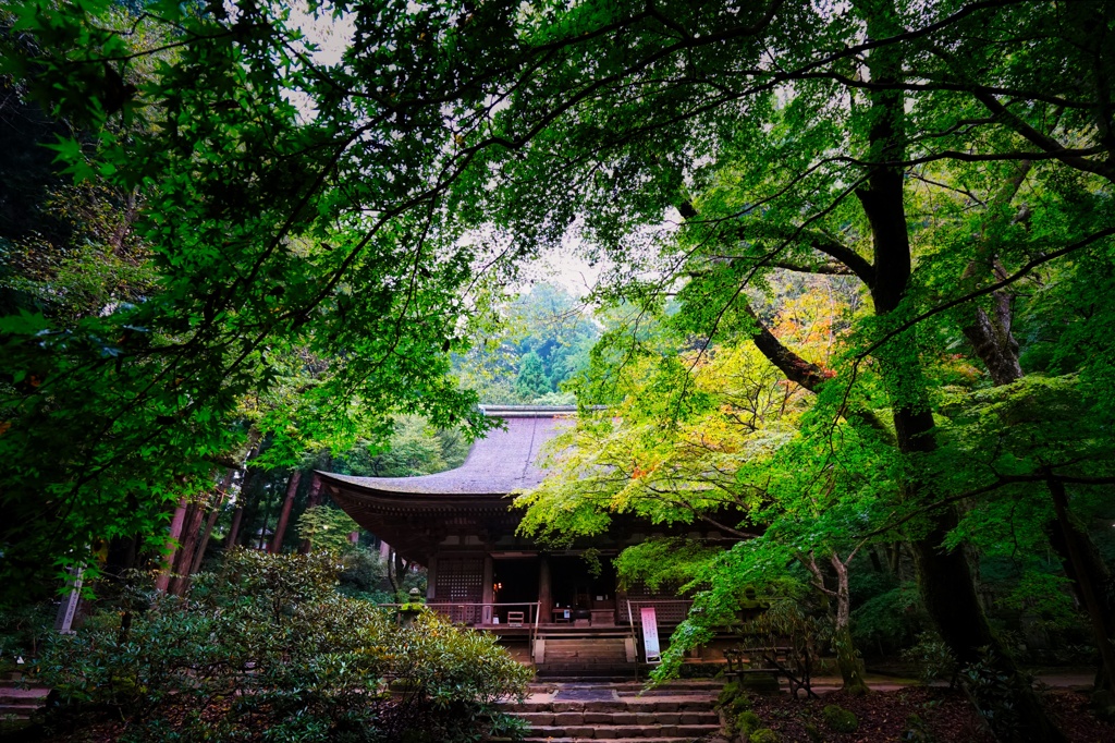 室生寺