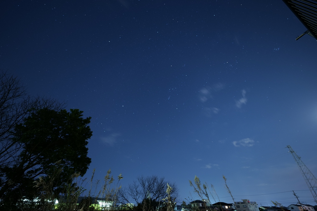 庭からのオリオン