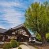 多治見市「永保寺」の大銀杏