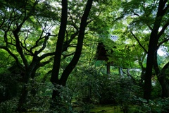 蔵出し 浜松市 龍潭寺