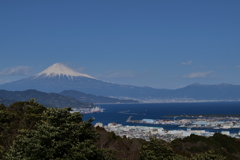 富士山と清水港