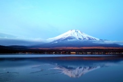 水鳥って寒くないの？指痛い、、