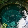 蔵出し 柿田川湧水群