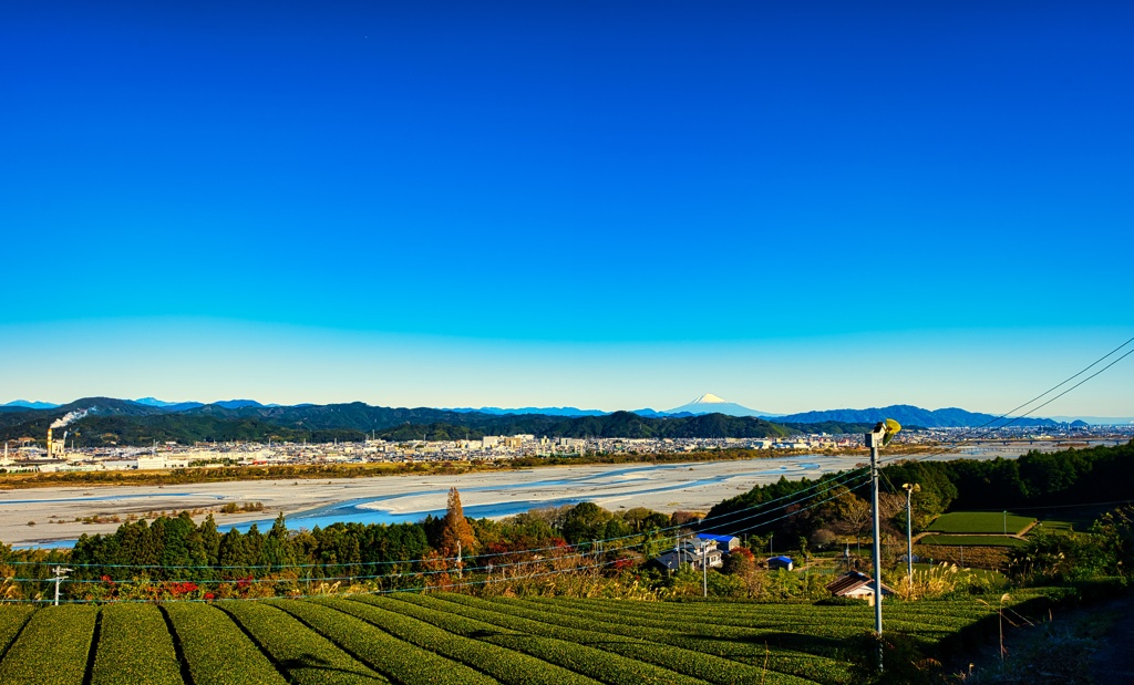 越すに越されぬ大井川