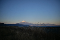 富士山