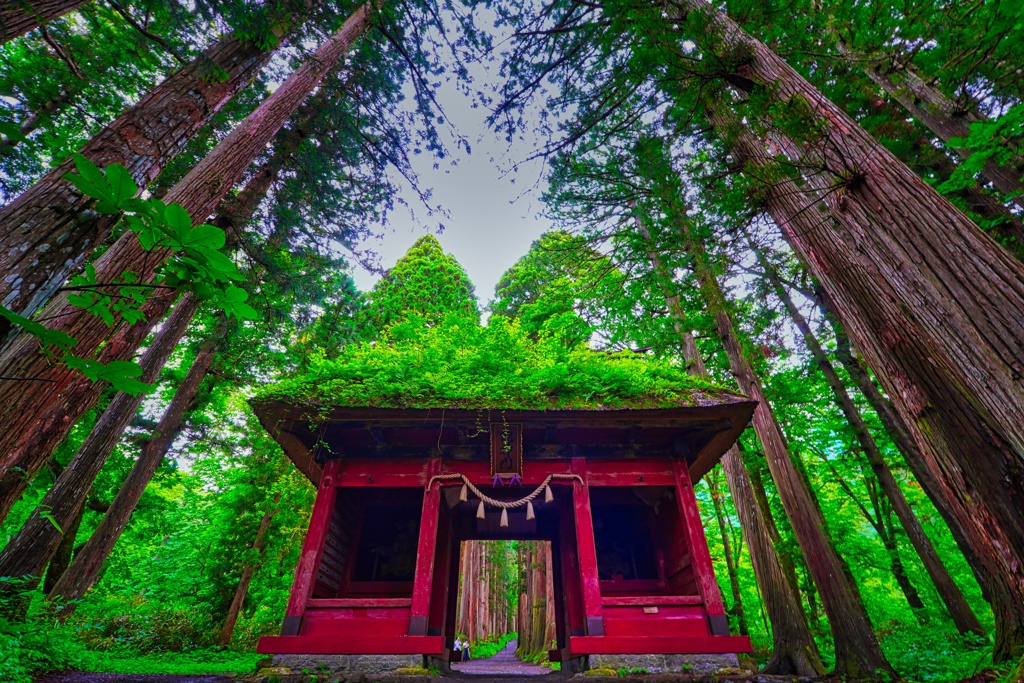 神秘の門